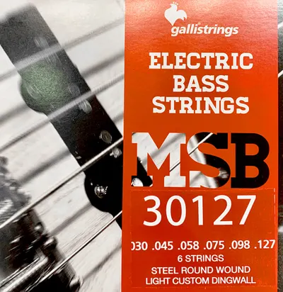 Galli String - MSB 30127 for DINGWALL / 딩월 멀티스케일 전용 6현 스트링
