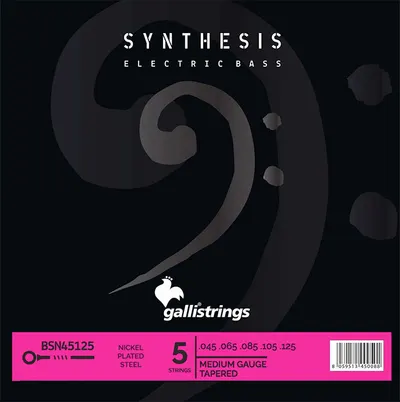 Galli String - BSN 45125 Extra Long (045-125) / 하이브리드 5현 베이스 스트링