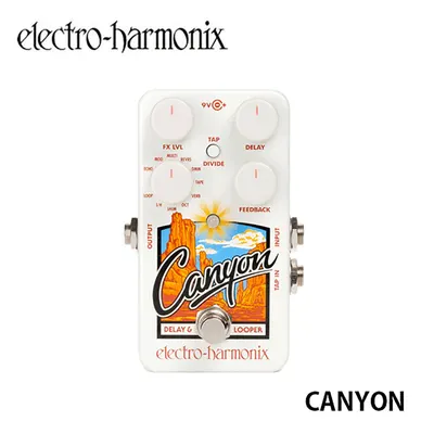 Electro Harmonix 기타이펙터 CANYON (11가지 딜레이&루퍼)