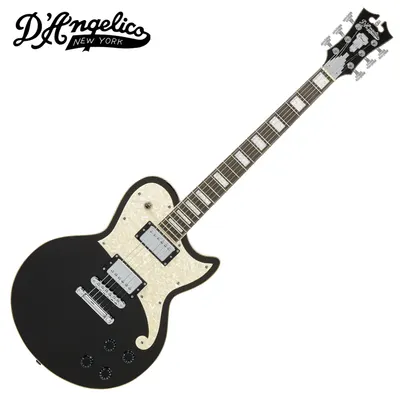 D.Angelico 디안젤리코 Premier Atlantic / Black Flake