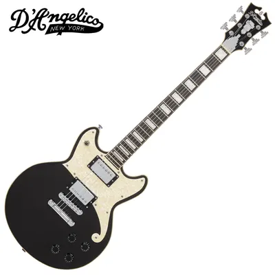 D.Angelico 디안젤리코 Premier Brighton / Black Flake
