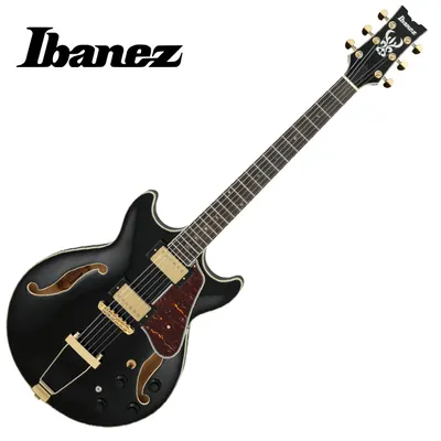 Ibanez 아이바네즈 일렉기타 AMH90 BLACK