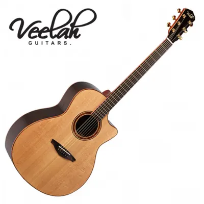 비일라 Veelah 어쿠스틱기타 V5-GAC