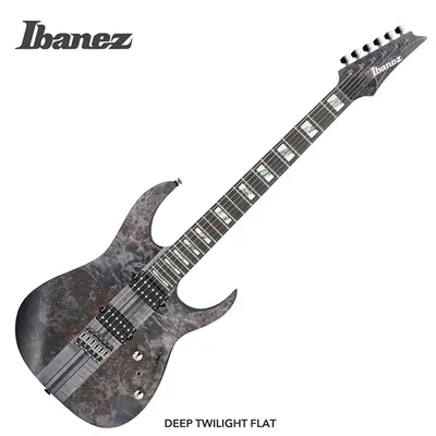 Ibanez 아이바네즈 일렉기타 RGT1221PB / Deep Twilight Flat