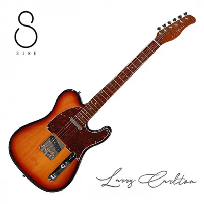 SIRE 일렉기타 Larry Carlton T7 (TS)