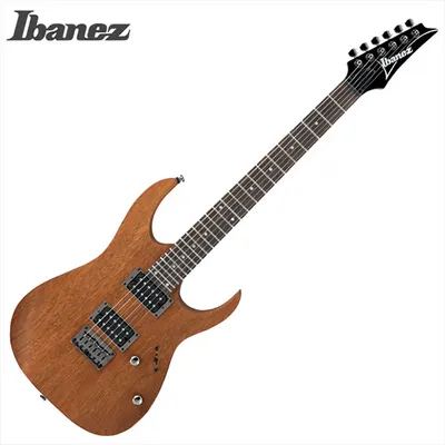 Ibanez 아이바네즈 일렉기타 RG421 MOL