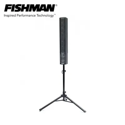 Fishman SA-330X performance Audio System