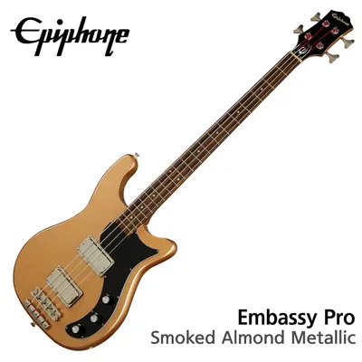 Epiphone 베이스기타 Embassy Bass - Smoked Almond Metallic (EBEMSAMNH1)