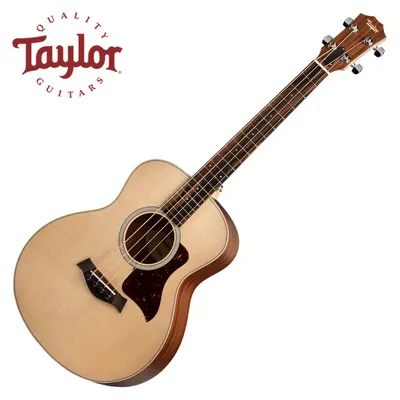 테일러 Taylor 어쿠스틱기타 GS Mini-e Bass