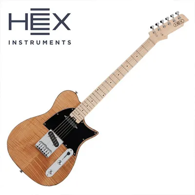 HEX 헥스 입문용 일렉기타 T200 SG/NT (Gloss Finish Natural)
