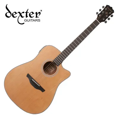 덱스터 Dexter 어쿠스틱기타 AD-100SCE