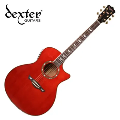 덱스터 Dexter 어쿠스틱기타 DGOQ-416E WR