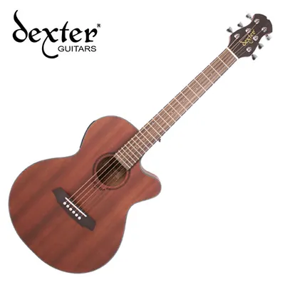 덱스터 Dexter 어쿠스틱기타 JUNIOR M CEQ
