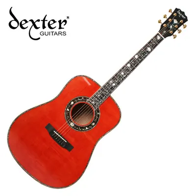 덱스터 Dexter 어쿠스틱기타 ZENITH CUSTOM M D/WR