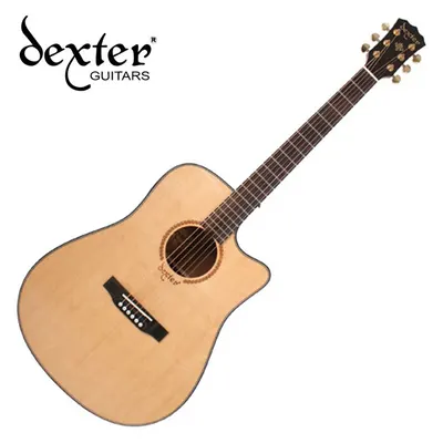 덱스터 Dexter 어쿠스틱기타 AD-100SSCE