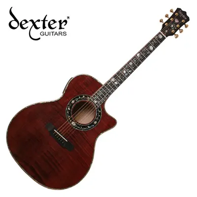 덱스터 Dexter 어쿠스틱기타 ZENITH CUSTOM M GA/WR