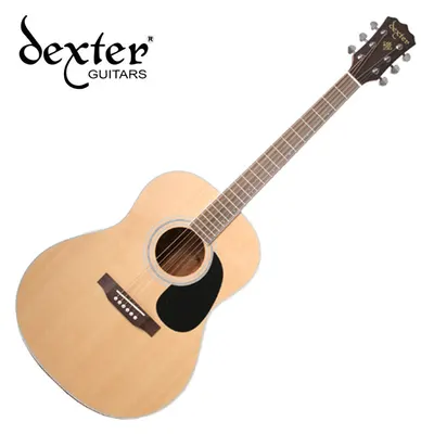 덱스터 Dexter 어쿠스틱기타 DD-15 SN