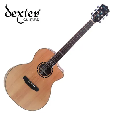덱스터 Dexter 어쿠스틱기타 LASSO GA EQ (NEW)
