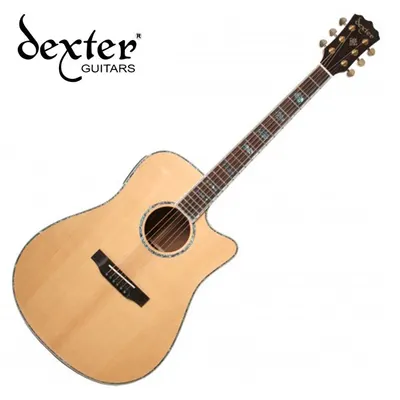 덱스터 Dexter 어쿠스틱기타 GALAXY CUSTOM CEQ