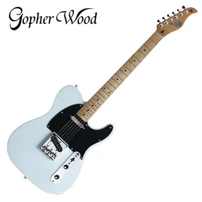 Gopher Wood 고퍼우드 일렉기타 T-classic V UBLUE511