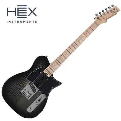 HEX 헥스 일렉기타 T200SG TBK