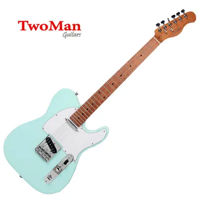 TwoMan 투맨 일렉기타 Prime TE300 Blue