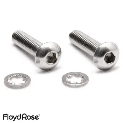 Floyd Rose Rear Locking Nut Mounting Screws - Stainless Steel (FRNMSRSSP) 플로이드로즈 락킹너트 마운팅 나사