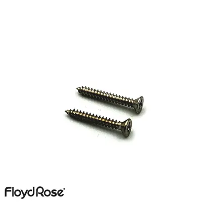 [Floyd Rose] Original String Retainer Screws 플로이드로즈 독일제 오리지널, 스트링 리테이너 스크류 Nickel (FRSRSNP)
