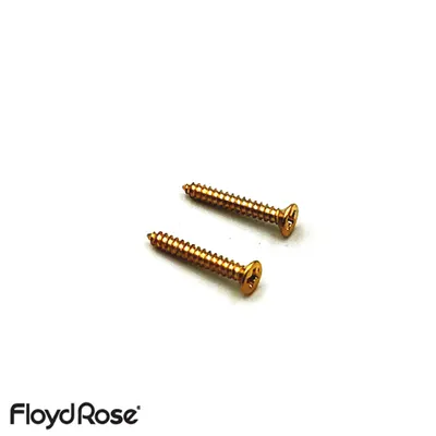 [Floyd Rose] Original String Retainer Screws 플로이드로즈 독일제 오리지널, 스트링 리테이너 스크류 Gold (FRSRSGP)