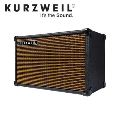 KURZWEIL 커즈와일 어쿠스틱 기타 전용 앰프 KAC40 (충전식)