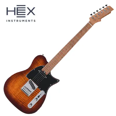 HEX 헥스 일렉기타 T200SG VB