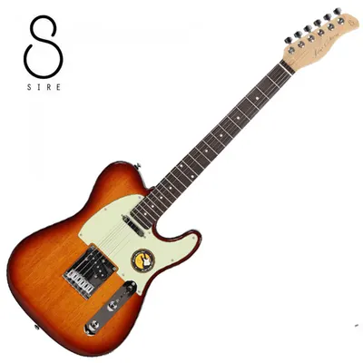 [사이어 특별 할인 쿠폰] SIRE 일렉기타 Larry Carlton T3 Tobacco Sunburst (TS)