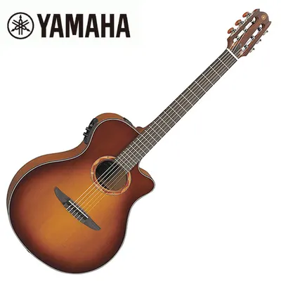 야마하 Yamaha 클래식기타 NTX700C BS