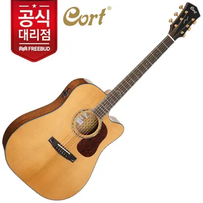콜트기타 Cort 어쿠스틱 기타 Gold-DC6
