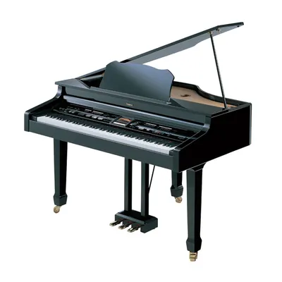 Roland 디지탈피아노 FP-30X