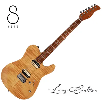 [사이어 특별 할인 쿠폰] SIRE 일렉기타 Larry Carlton T7 FM Natural (NT)