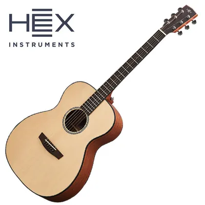 헥스 HEX 통기타 HIVE New F100G 유광