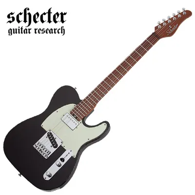 Schecter 일렉기타 닉존스턴 NICK JOHNSTON PT HS ATOMIC INK