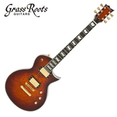 GrassRoots 그래스루츠 일렉기타 G Eclipse CTM GCB (Tiger Eye Sunburst)