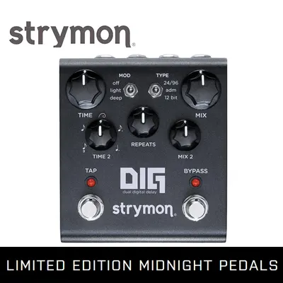 Strymon 스트라이몬 한정판 DIG - Midnight Edition