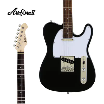 Aria Pro II 일렉기타 TEG-002 Black