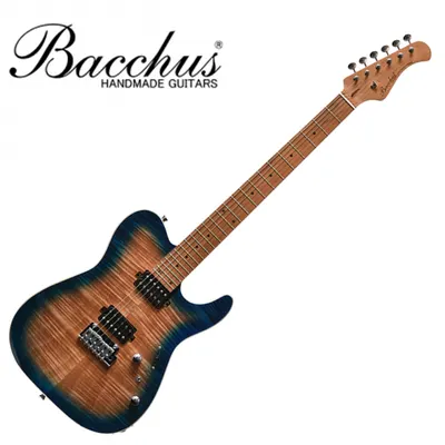 Bacchus 바커스 일렉기타 Universe TAC24 FMH-RSM Maple (N-BL-B)