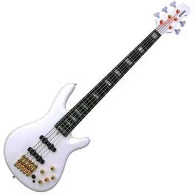 딱! 한대! 본사매장 입고!! 야마하 5현 베이스 YAMAHA Nathan East Signature BBNE II