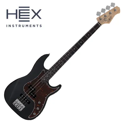 HEX 헥스 베이스기타 RB100R (Black)