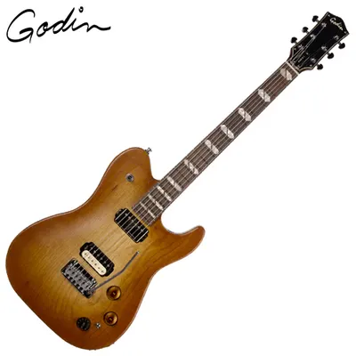 Godin 고딘 일렉기타 Radium-X Rustic Burst (051465)