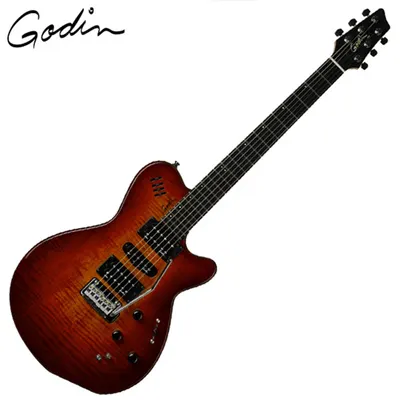 Godin 고딘 일렉기타 xtSA Lightburst Flame (028672)