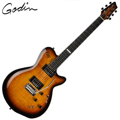 Godin 고딘 일렉기타 LGXT Cognac Burst Flame AA (024124)