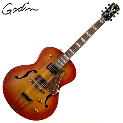 Godin 고딘 일렉기타 5th Avenue Jumbo HB Memphis Sun (051496)