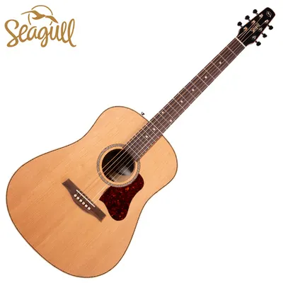 Seagull 어쿠스틱기타 Coastline Momentum HG A/E (042494)