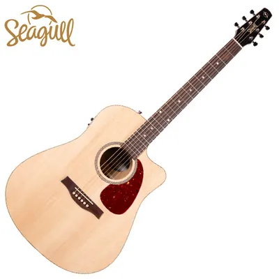 Seagull 어쿠스틱기타 Coastline Slim CW Spruce Presys II (051908)